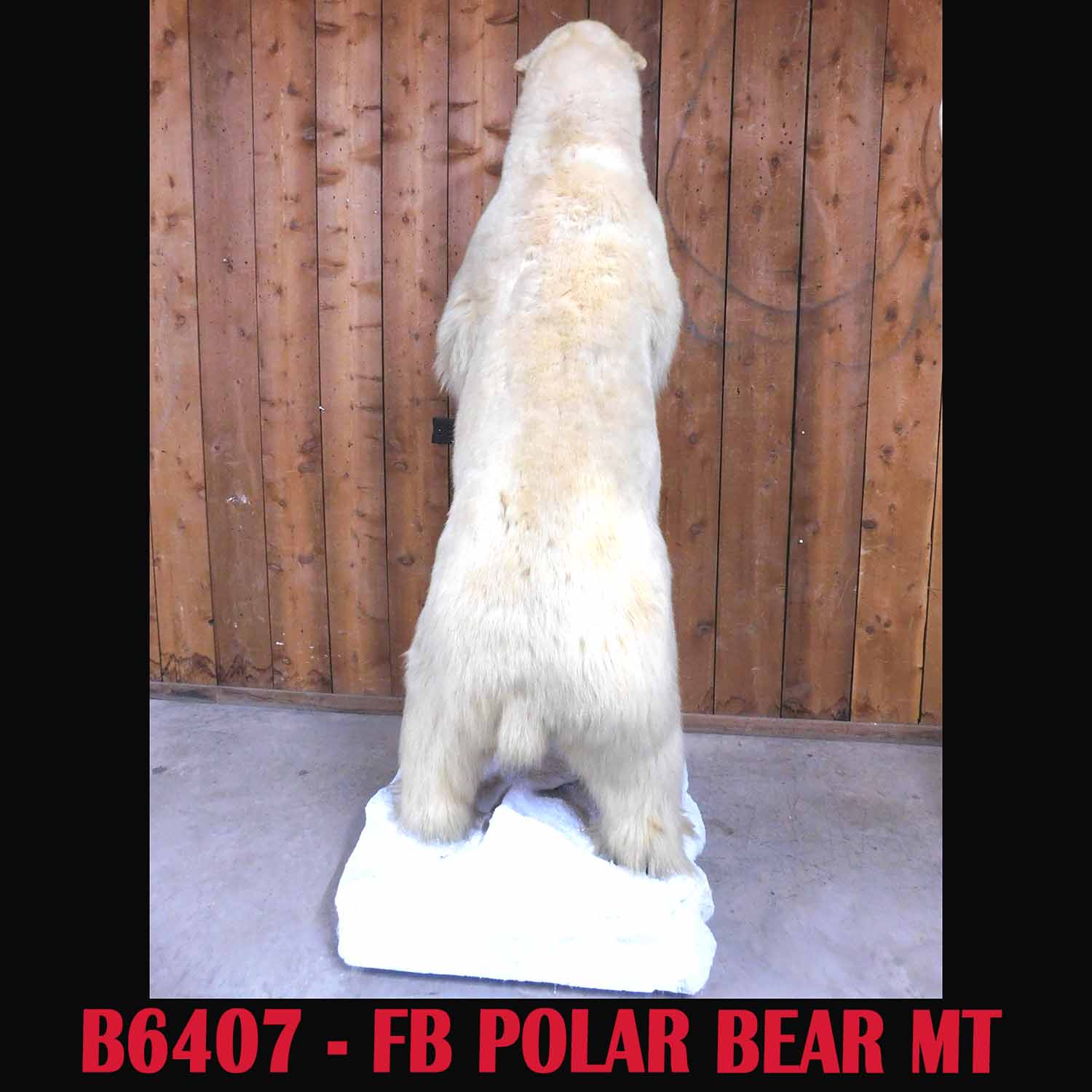 B6407B copy