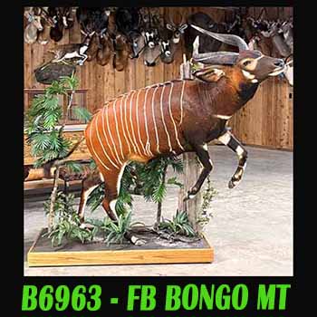 B6963C copy 1